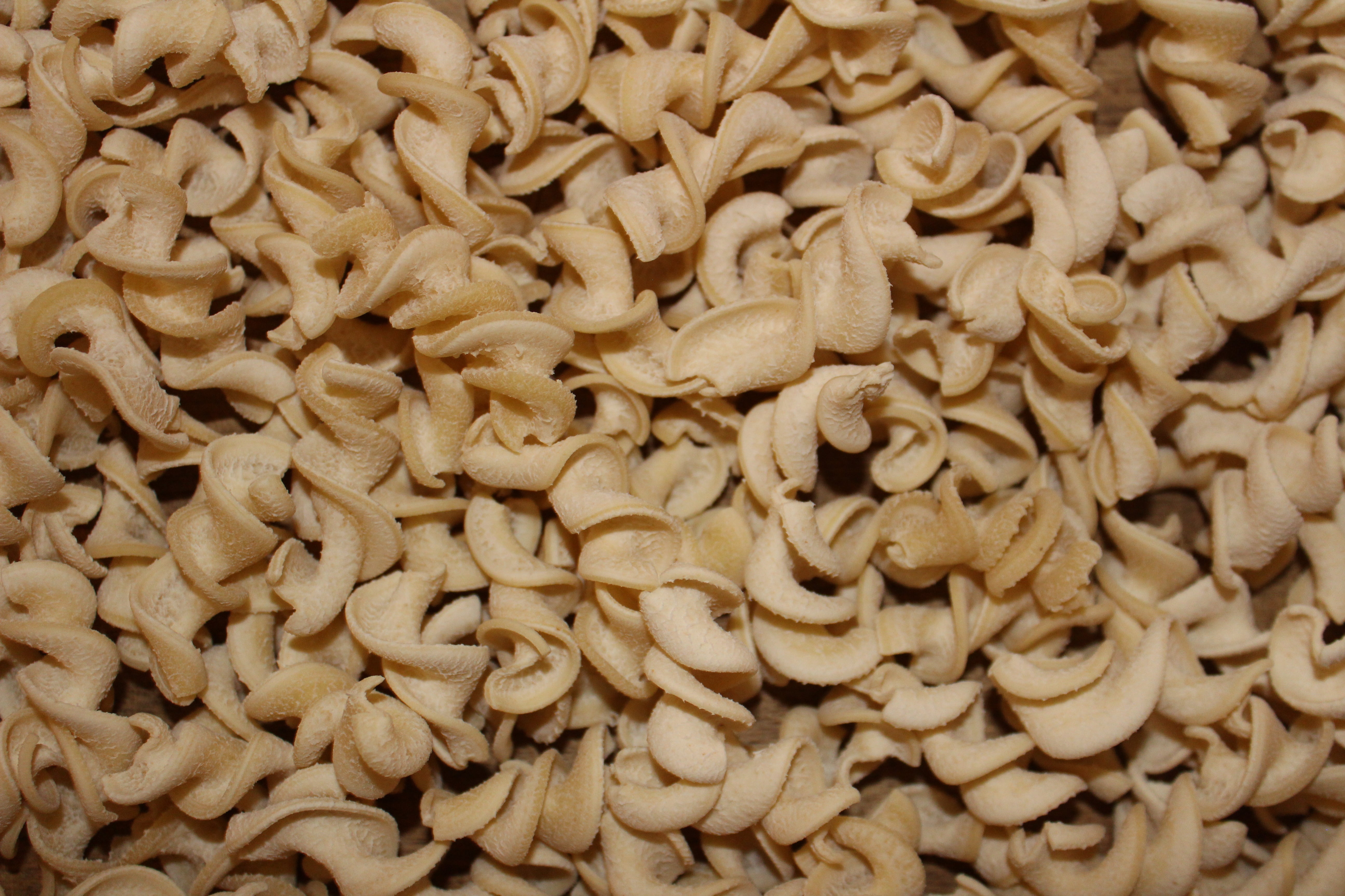 BATCH sourdough pasta close up